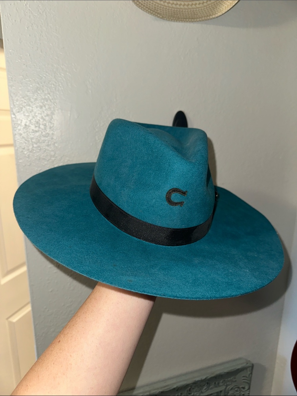 Charlie 1 Horse Teal Wool Felt Hat - Teal